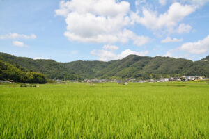 田と山の景色