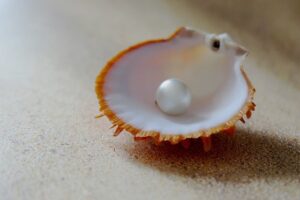真珠（パール）は種類によって大きく価値が変わる