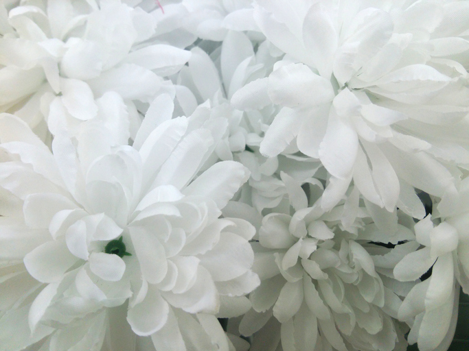 Chrysanthemum on white artificial flower