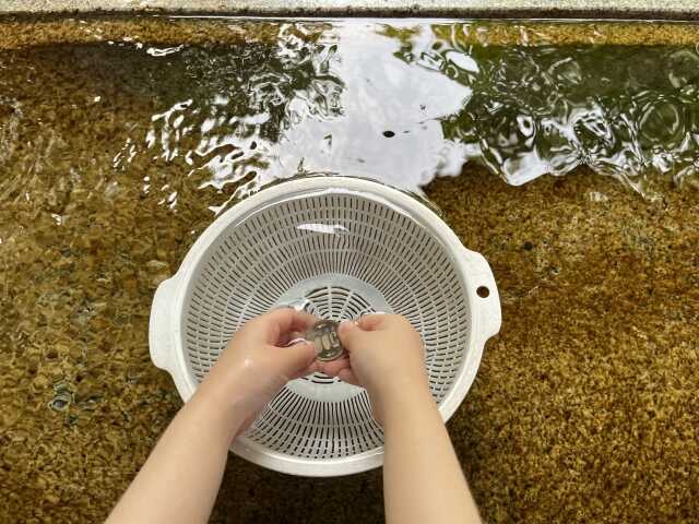 古銭の洗浄方法