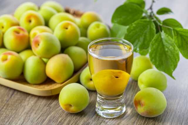 和歌山県にゆかりのあるお酒